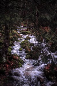 Explore the beauty of France and Alsace