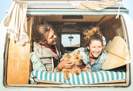 Hund im Wohnmobil mieten