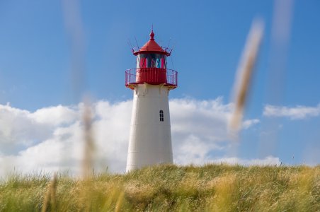 Explore camping in Sylt in spring