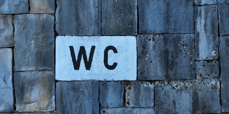 ¿El inodoro químico es un misterio para ti?