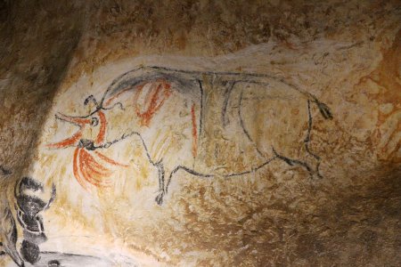 chauvet cave