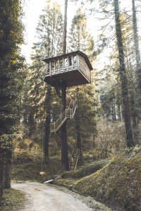 treehouse