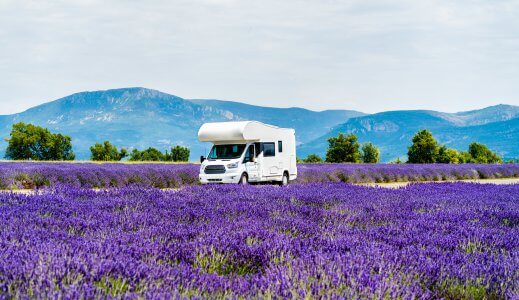 campervan- 