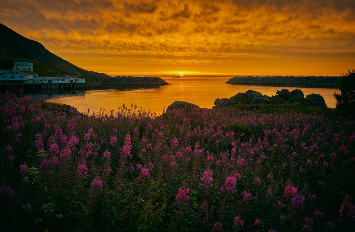 vidar-nordli-mathisen-DxRXjBQAb8I-unsplash norway coast