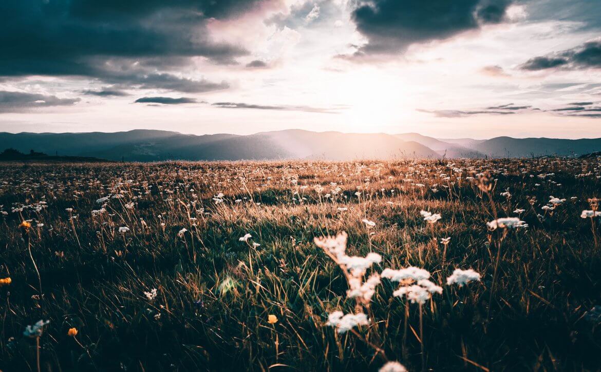 vosges-3700046_1920 sunset-vosges-landscape