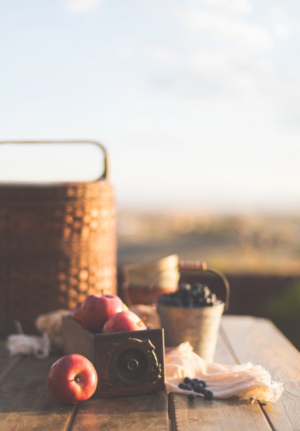 carolyn-v-I1dEwQHsnpA-unsplash