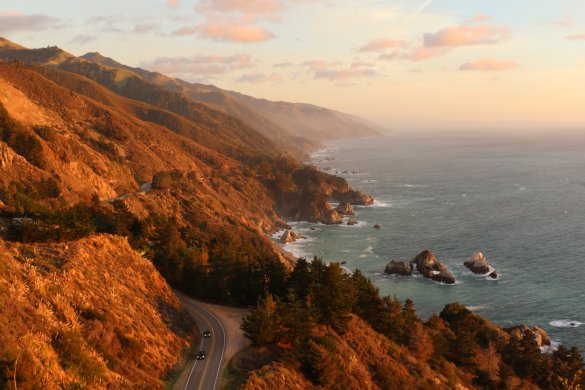 iris-papillon-FuxRM_jOFHY-unsplash