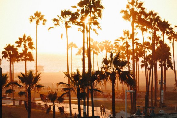 sonnie-hiles-oWpKOgwssTI-unsplash