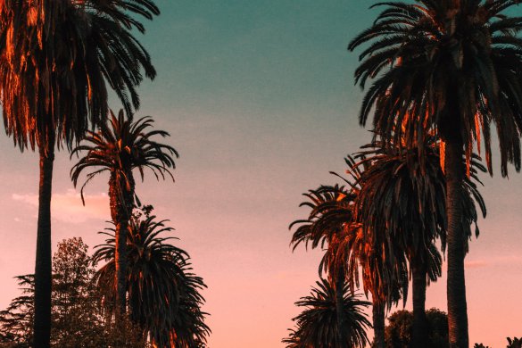 steven-pahel-645g50Mxy8s-unsplash