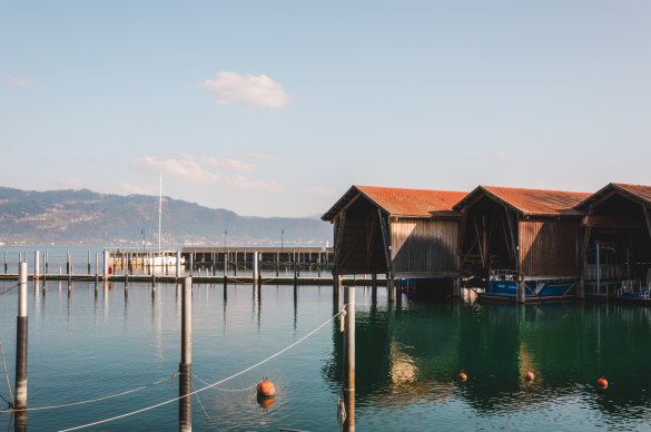 david-hertle-8XZHgnNmGUc-unsplash