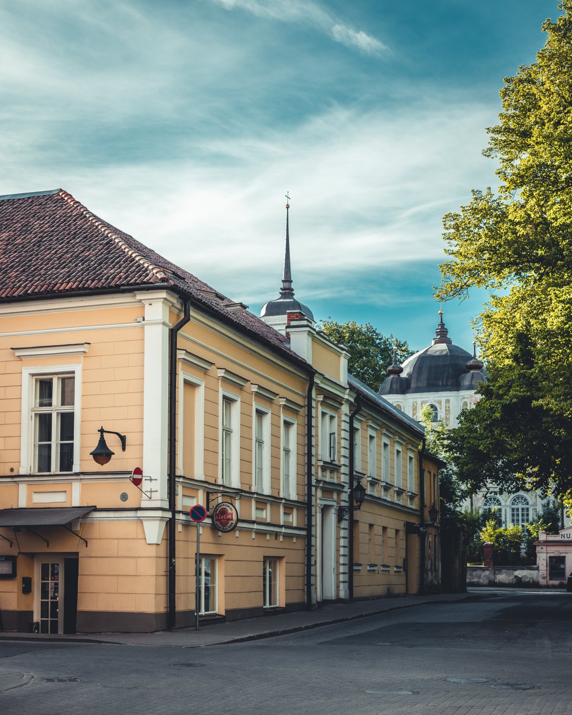 nima-sarabi-Mh_K3OdfYaU-unsplash