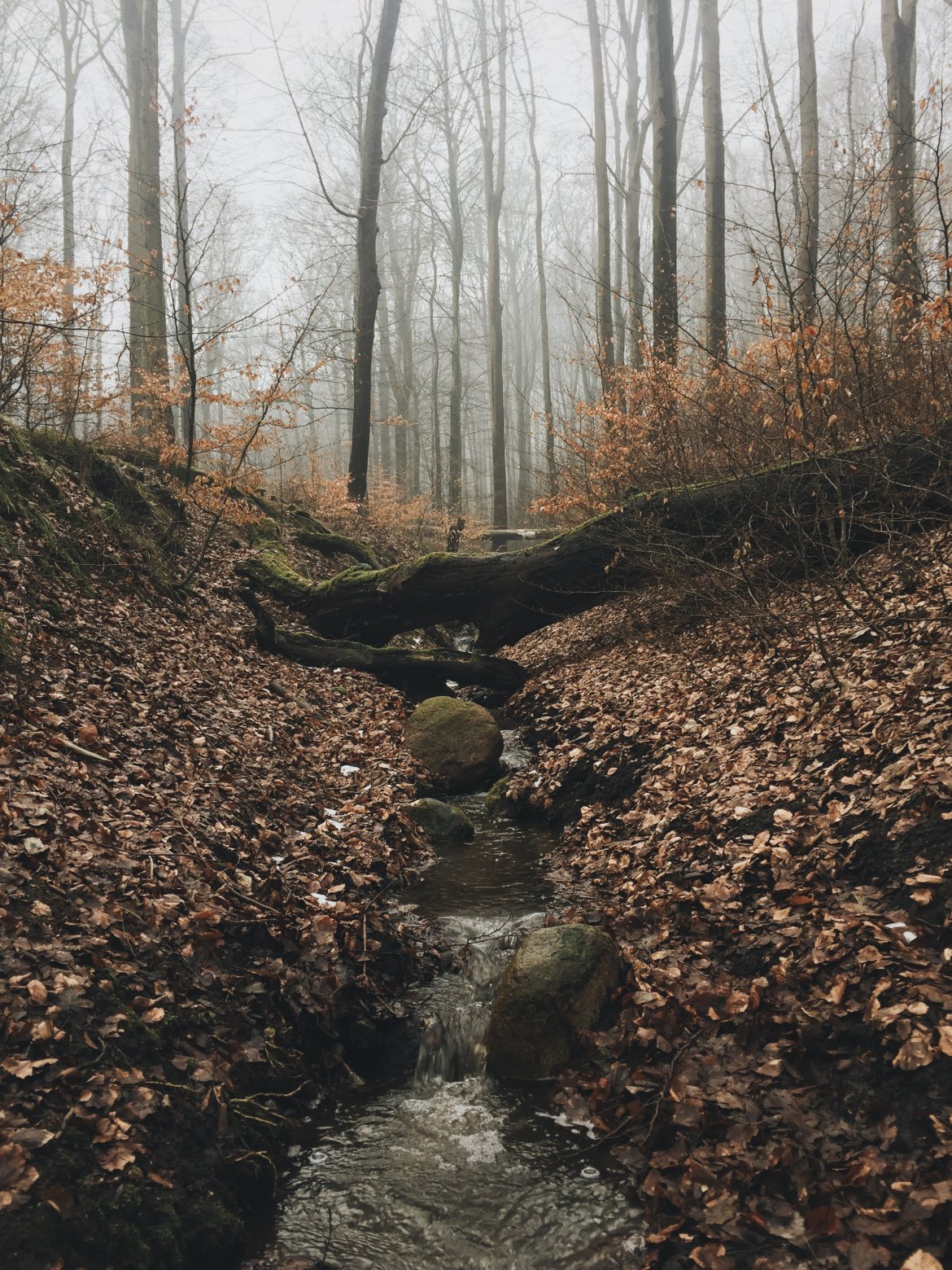 patrick-reichboth-GzSdgfKhIto-unsplash