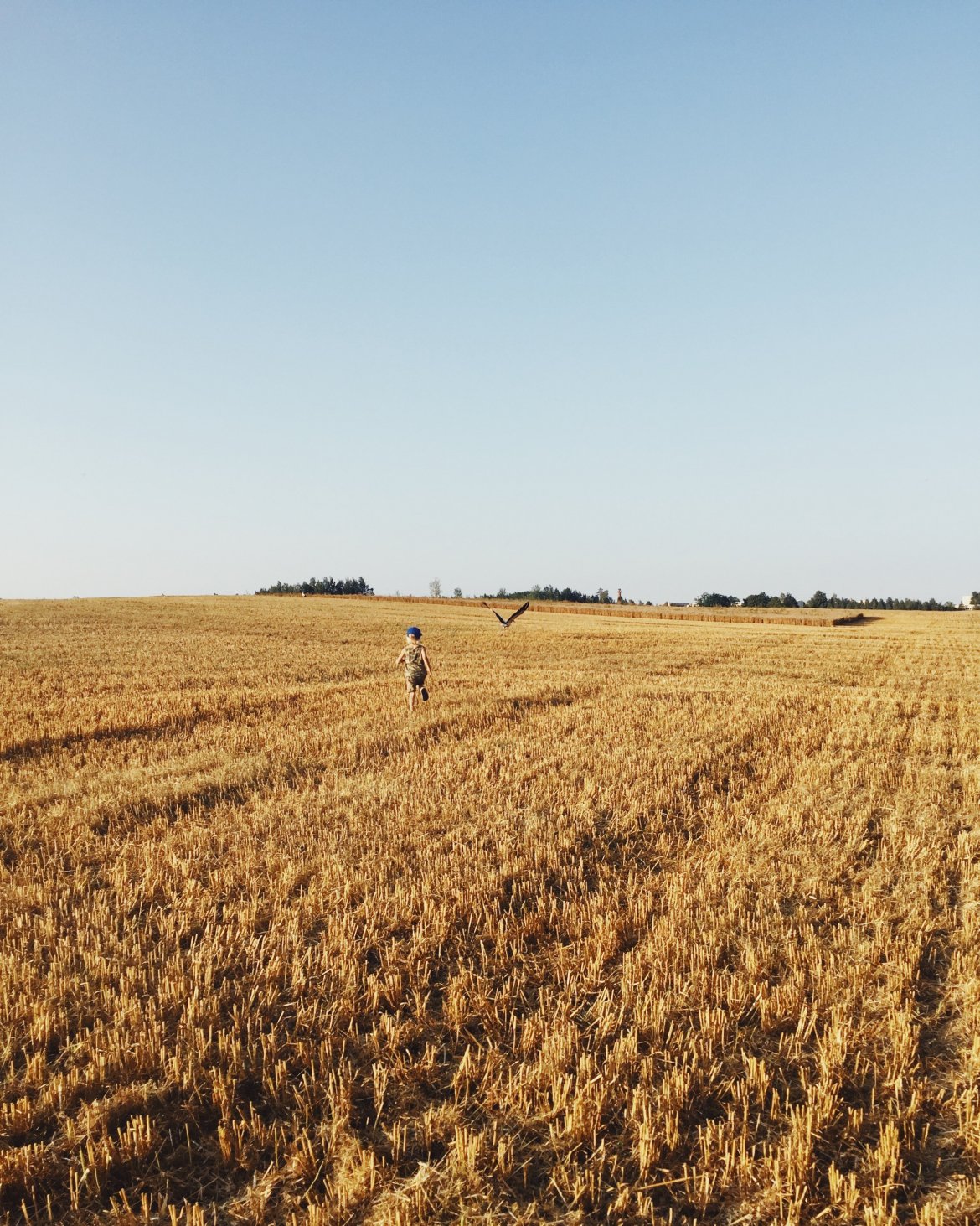 saskia-t-_DNMqoENXCM-unsplash