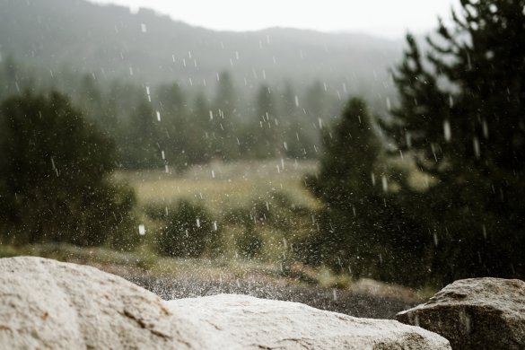 allie-smith-1Mu0tP9pG90-unsplash Rainy woodsy landscape