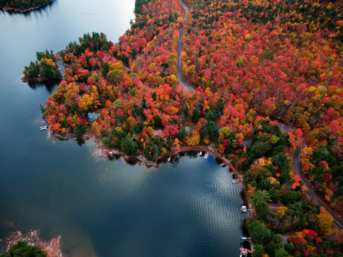 ontariosee