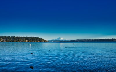 Seward park