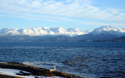 Kachemak-Bucht- Home