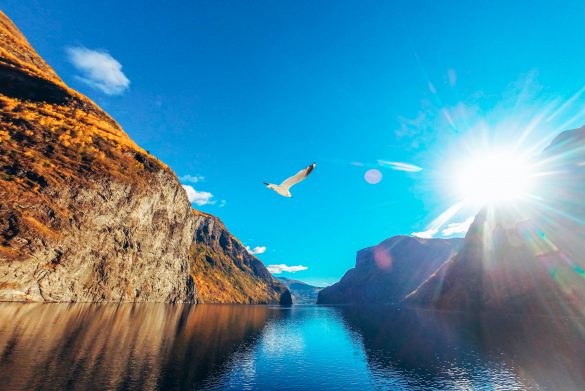Naeroyfjord