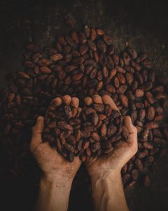 chocolate seeds