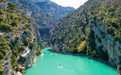 Tangarakau Gorge