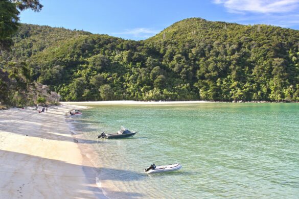 david-tip-yxl_EEpNpDM-unsplash Abel Tasman National Park | Campstar